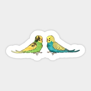 Budgie - recessive pied and greywing in green line Sticker